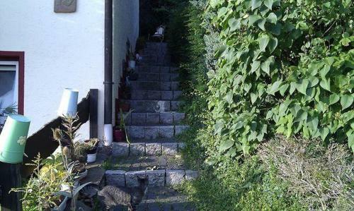 Apartamento Ferienwohnungen-willrich-ferienwohnung-3