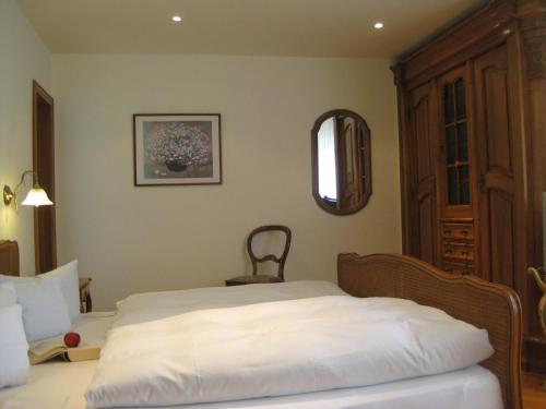 Hostal Gasthaus Zur Sonne