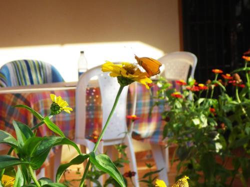 Apartamento Casa Lily & Coco