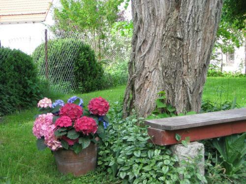 Apartamento Hummelshof