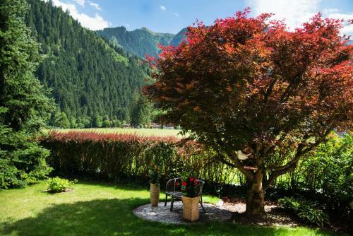 Hostal G�stehaus Hornegger