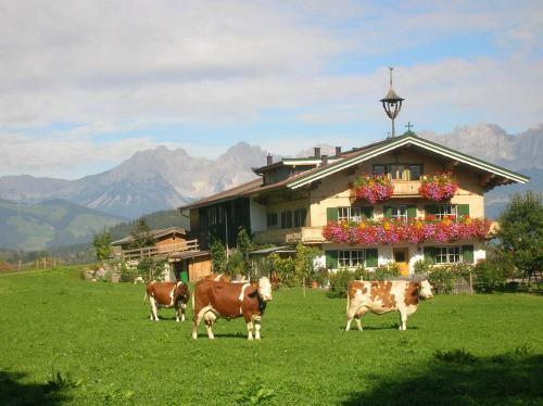 Hostal Lindenhof