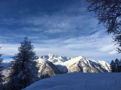 Almh�tte Adlerhorst