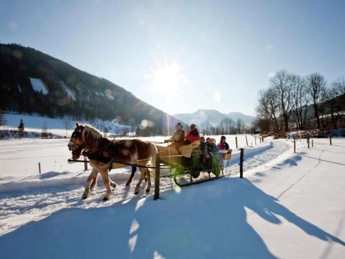 Chalet Panoramachalet