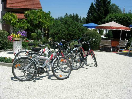Apartamento Haus Thon