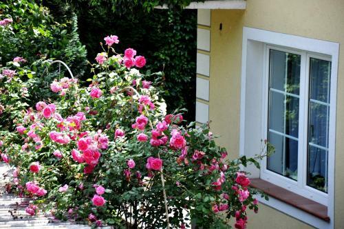 Hostal G�stehaus Wachau