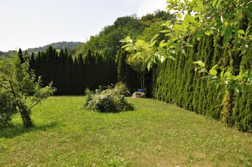 Hostal G�stehaus Wachau