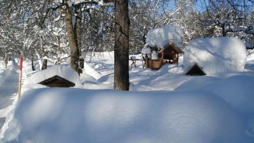 Apartment Wegscheider