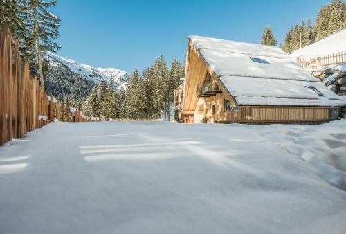 Hotel Almhof Roswitha