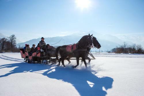 Albergue Junges Hotel Zell Am See