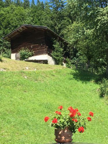 Hostal Pension W�rg�tter