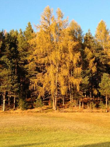 Apartamento Bucherhof