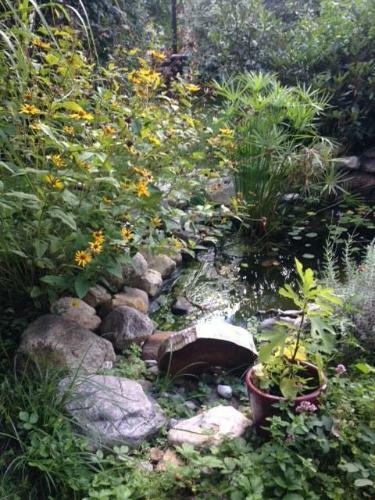 Apartamento Gartenwohnung Gretl Mit Biotop In Seen�he