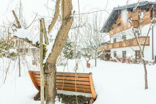 Apartamento Haus Alexandra