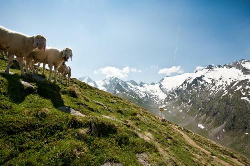Hotel Garni Pirchh�tt