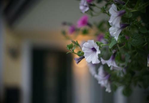 Bed & Breakfast Landhaus Lilly