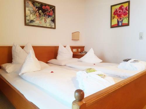 Hotel Alpine Palace