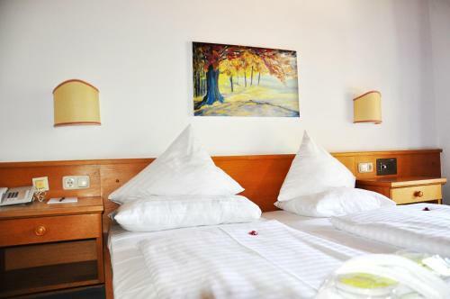 Hotel Alpine Palace