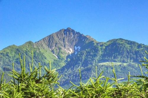Apartment Golf & Glacier View By Alpen Apartments
