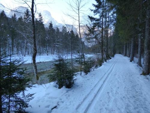 Apartamento Haus Bergblick