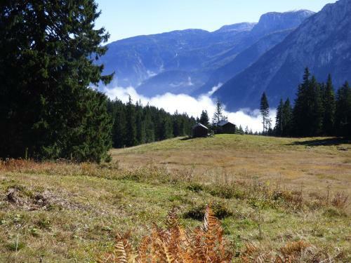 Apartamento Haus Bergblick