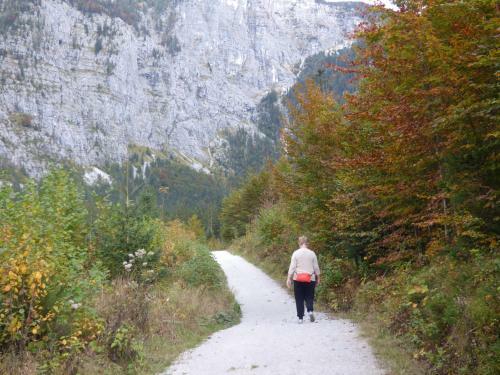 Apartamento Haus Bergblick