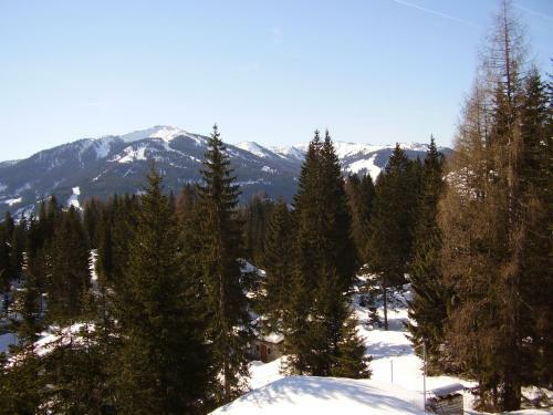 Apartamento Appartementhaus Hochk�nig I