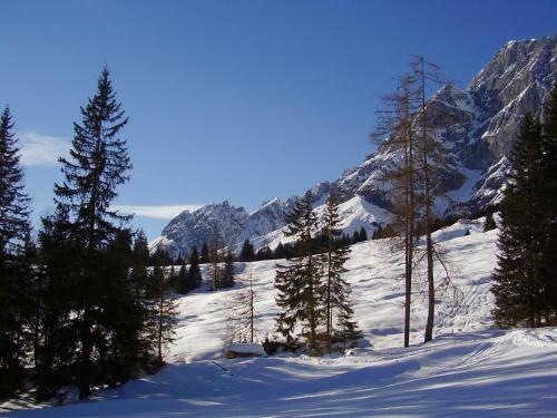 Apartamento Appartementhaus Hochk�nig I