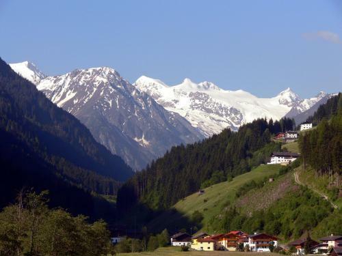 Ferienhaus Aurikel