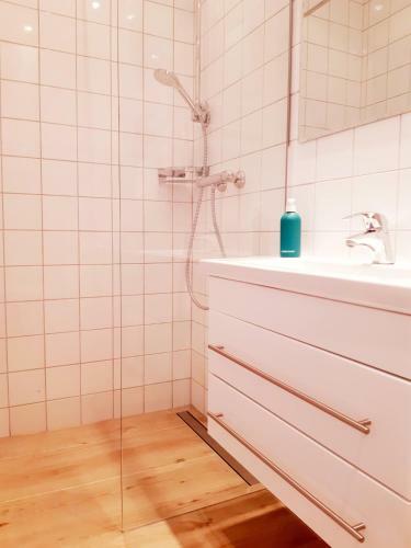 Apartments Zum Wohlf�hlen Mariazell