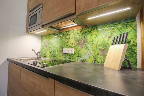 Apartamento Appartements Millinger