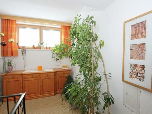 Apartment M�hlhof 1