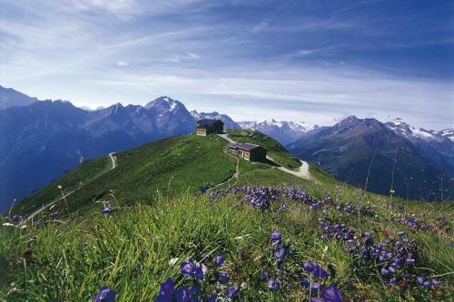 G�stehaus Danler