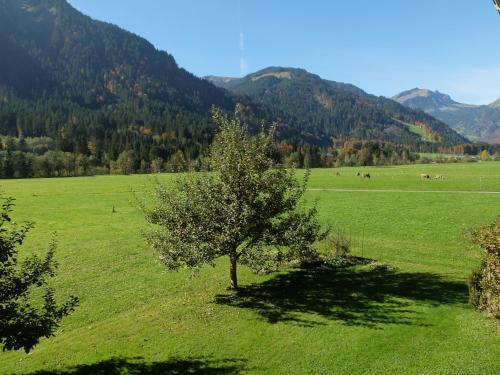 Haus Oberhauser