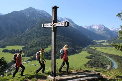 Apart-alpin