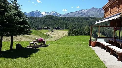 Apartamento Haus Sonneck
