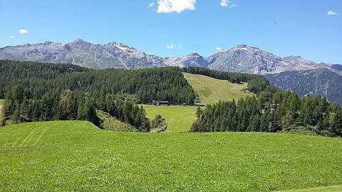 Apartamento Haus Sonneck