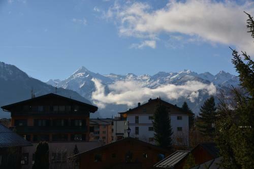 Apartmenthouse "5 Seasons" - Zell Am See