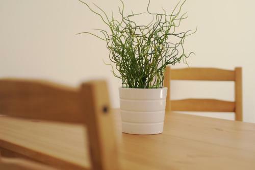 Apartement Laura By Schladmingurlaub