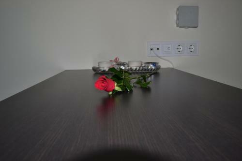 Apartment Nikirent