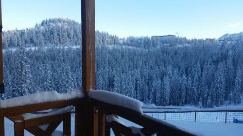 Studio Apartment 134b Vucko
