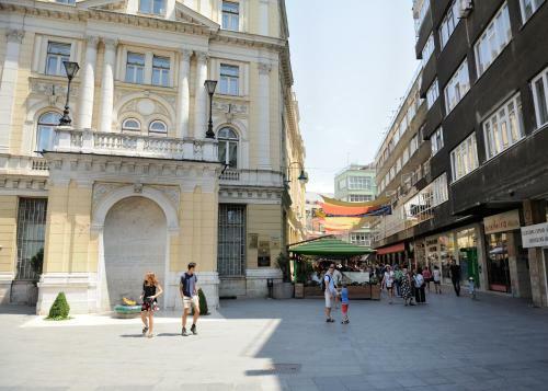 Apartment Vatra