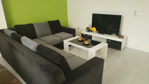 Apartment Vatra
