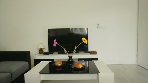 Apartment Vatra