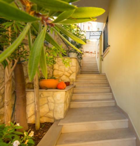 Hostal Guest House Villa Maslina Neum
