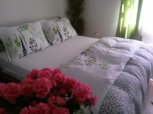 Apartment Nin Rustik