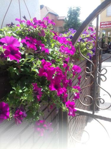 Apartment Nin Rustik