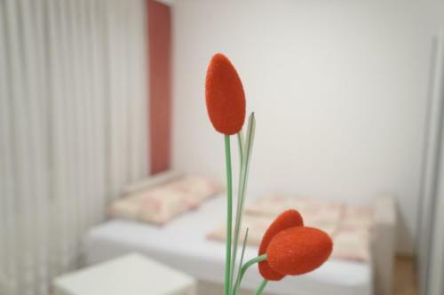 Sarajevo Hills Apartment