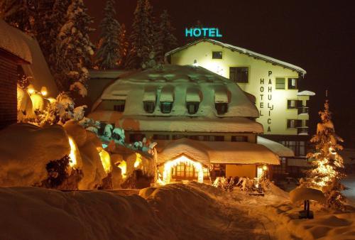Hotel Pahuljica