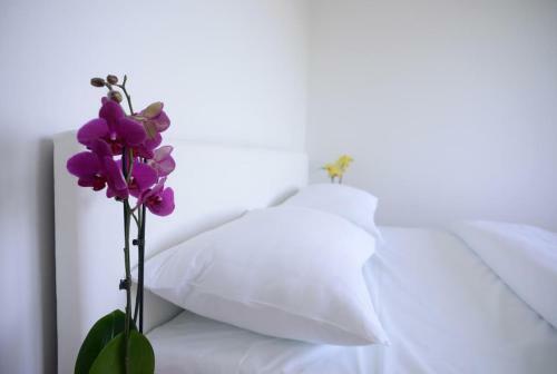 Hostel Evropa Banja Luka